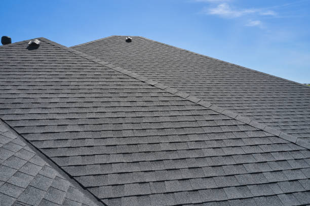 Best Roof Coating and Sealing  in Central, SC